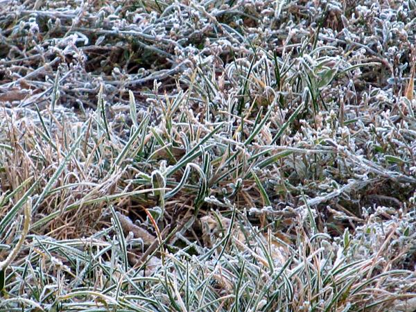 �������� ����� ����������