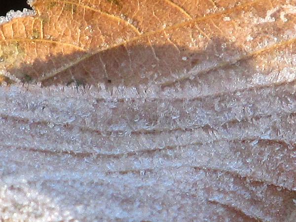 �������� ����� ����������