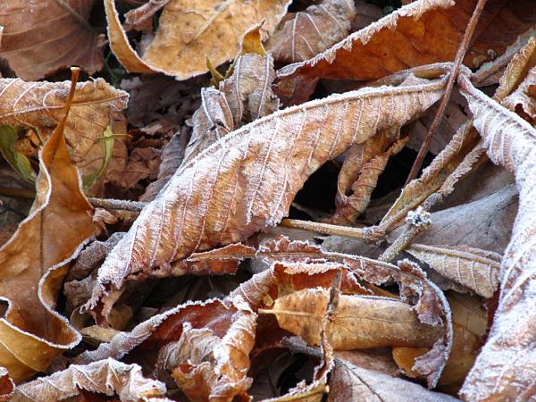 �������� ����� ����������