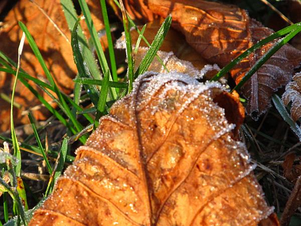 �������� ����� ����������