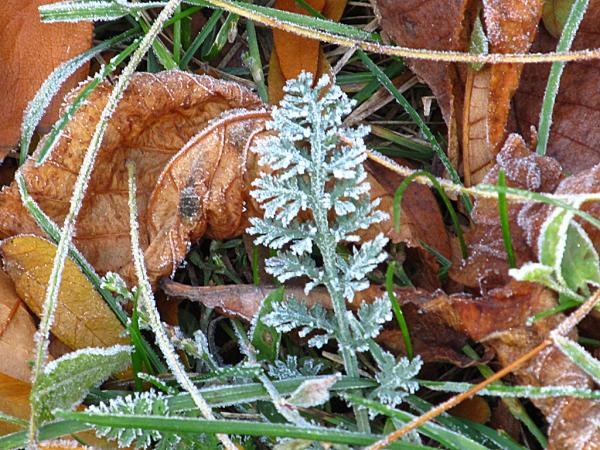 �������� ����� ����������