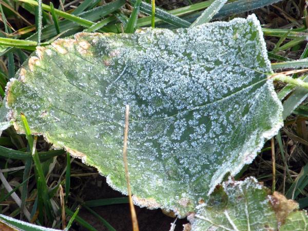 �������� ����� ����������