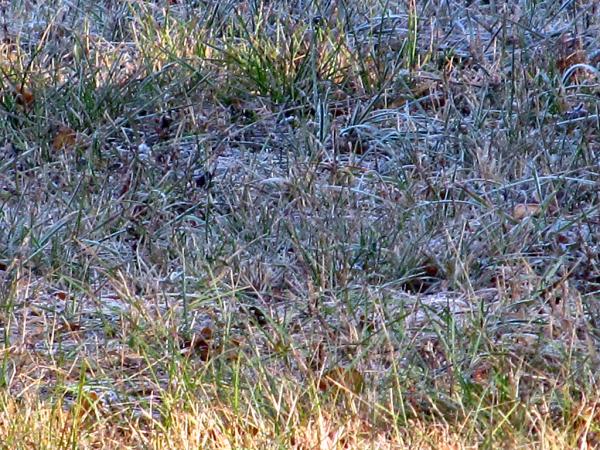 �������� ����� ����������