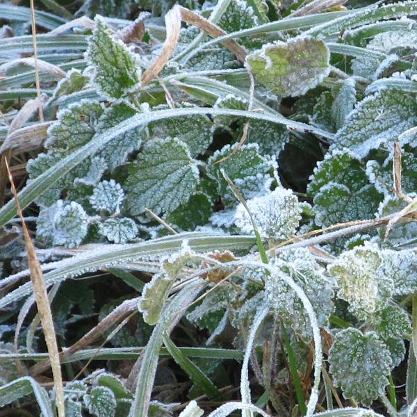 �������� ����� ����������