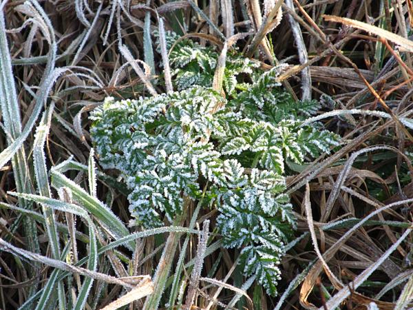 �������� ����� ����������