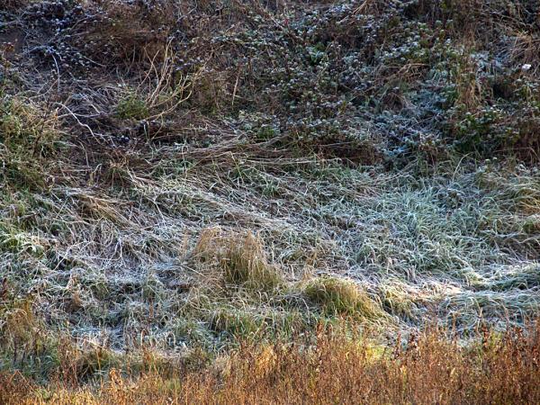 �������� ����� ����������