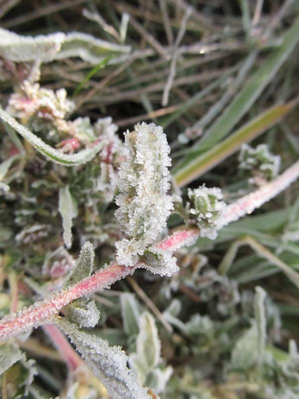 �������� ����� ����������