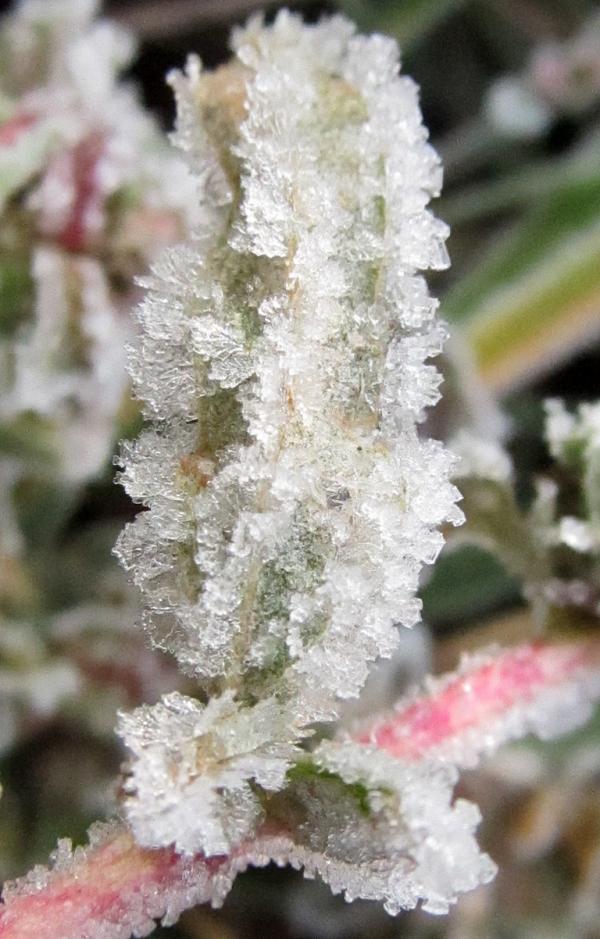 �������� ����� ����������