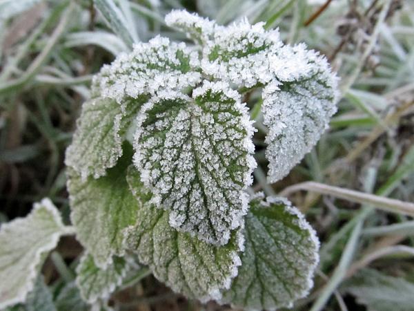 �������� ����� ����������