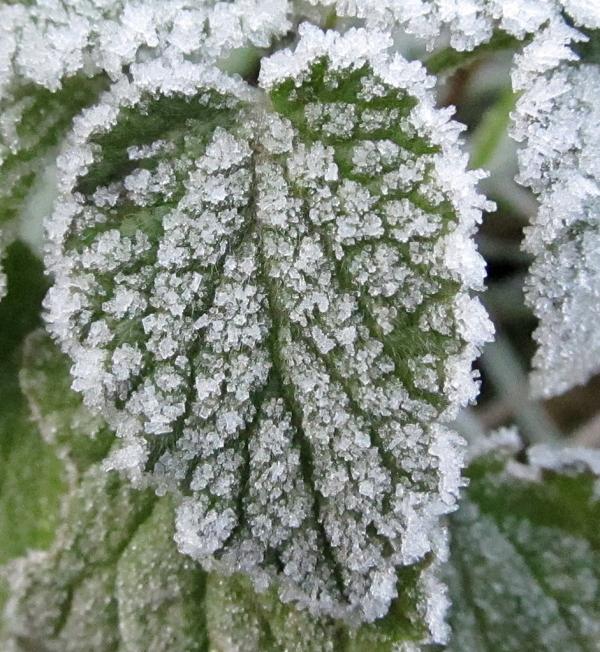 �������� ����� ����������