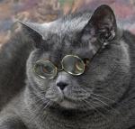 ������������ ��������