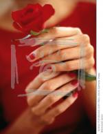 ���� �� ����