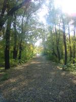 ������� ��������� �����(����)