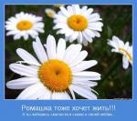 ������...(����)