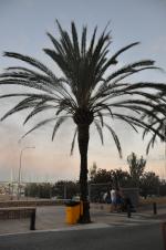 ����� ���� ���������... ������ �� �������...