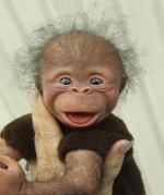 &nbsp;����! � ����������,
� ���������. ����� ���,
��� ������� � ����� �����,
� ����� �������...